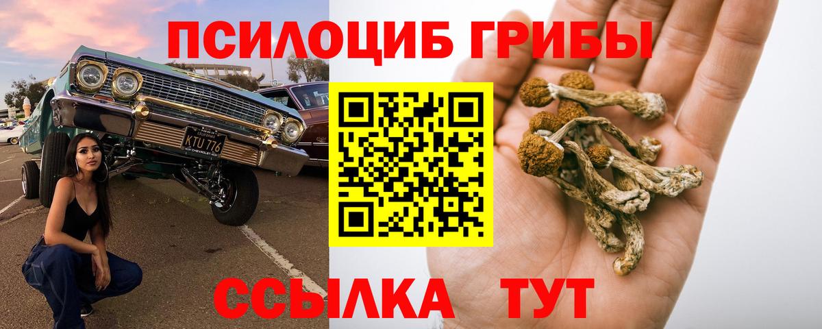 Биробиджан  Псилоцибиновые грибы Cubensis  Вход с VPN 