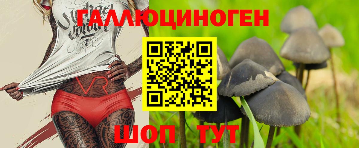 Псилоцибиновые грибы мицелий Биробиджан